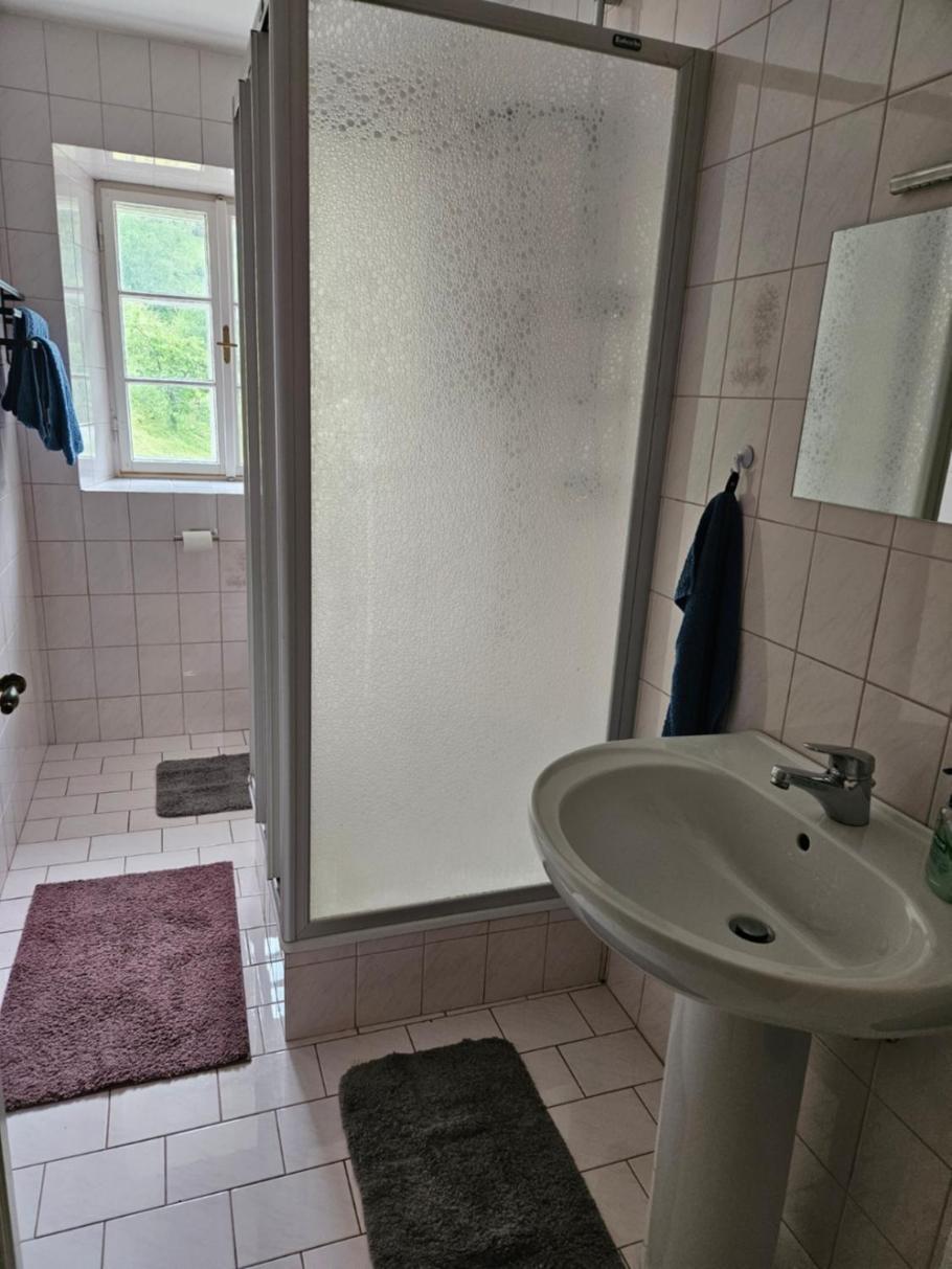 Wohnung Im Nationalpark Kalkalpen 3 Reichraming Eksteriør billede