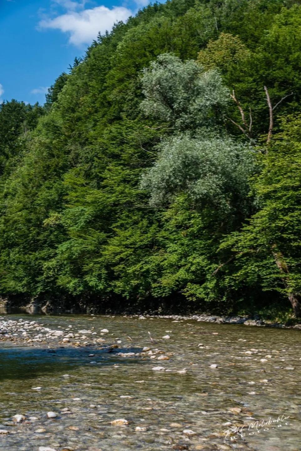 Wohnung Im Nationalpark Kalkalpen 3 Reichraming Eksteriør billede